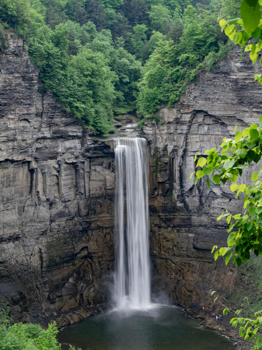 PayPal | CashApp | Venmo | © JDimages.