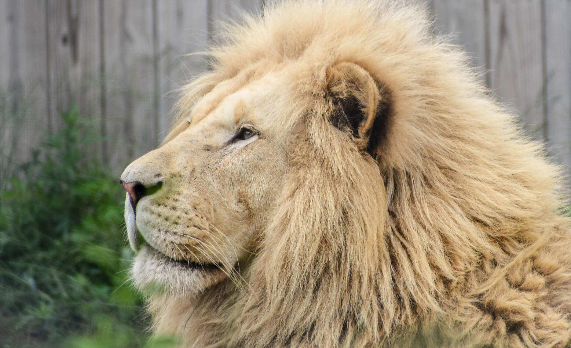 PayPal | CashApp | Venmo | © JDimages.