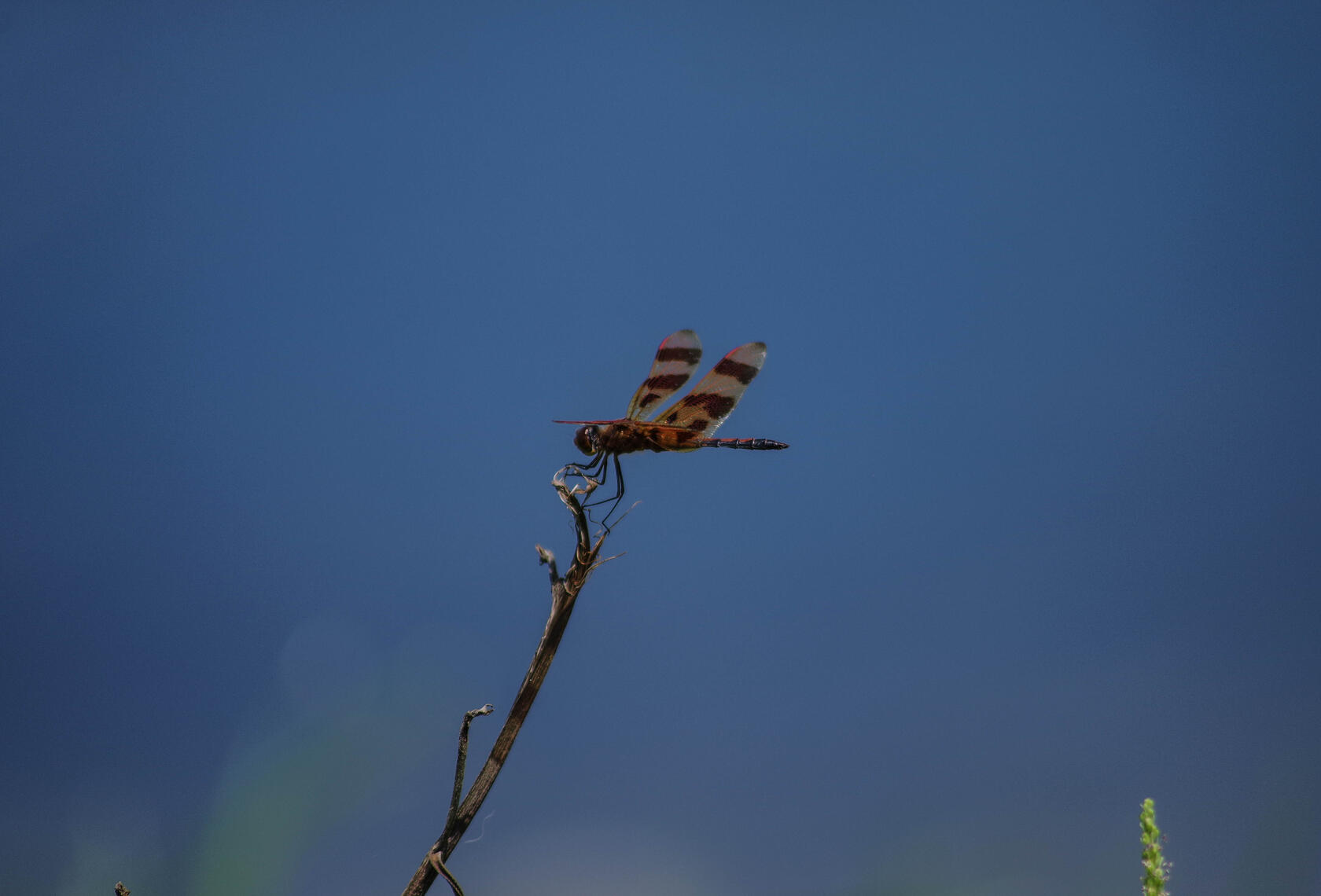 PayPal | CashApp | Venmo | © JDimages.