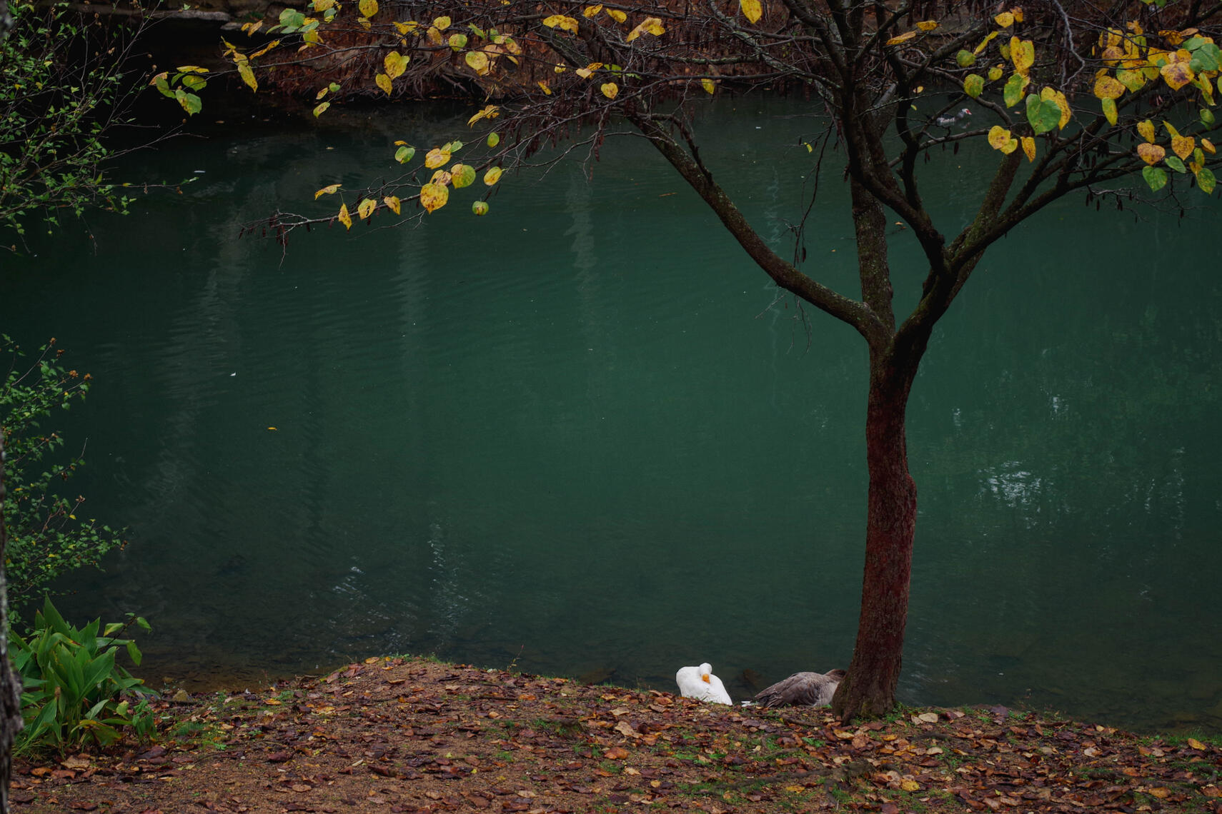 PayPal | CashApp | Venmo | © JDimages.