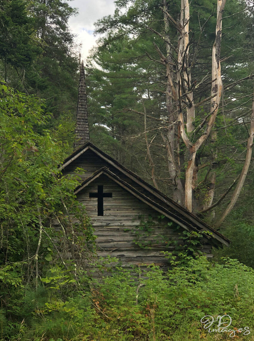 PayPal | CashApp | Venmo | © JDimages.