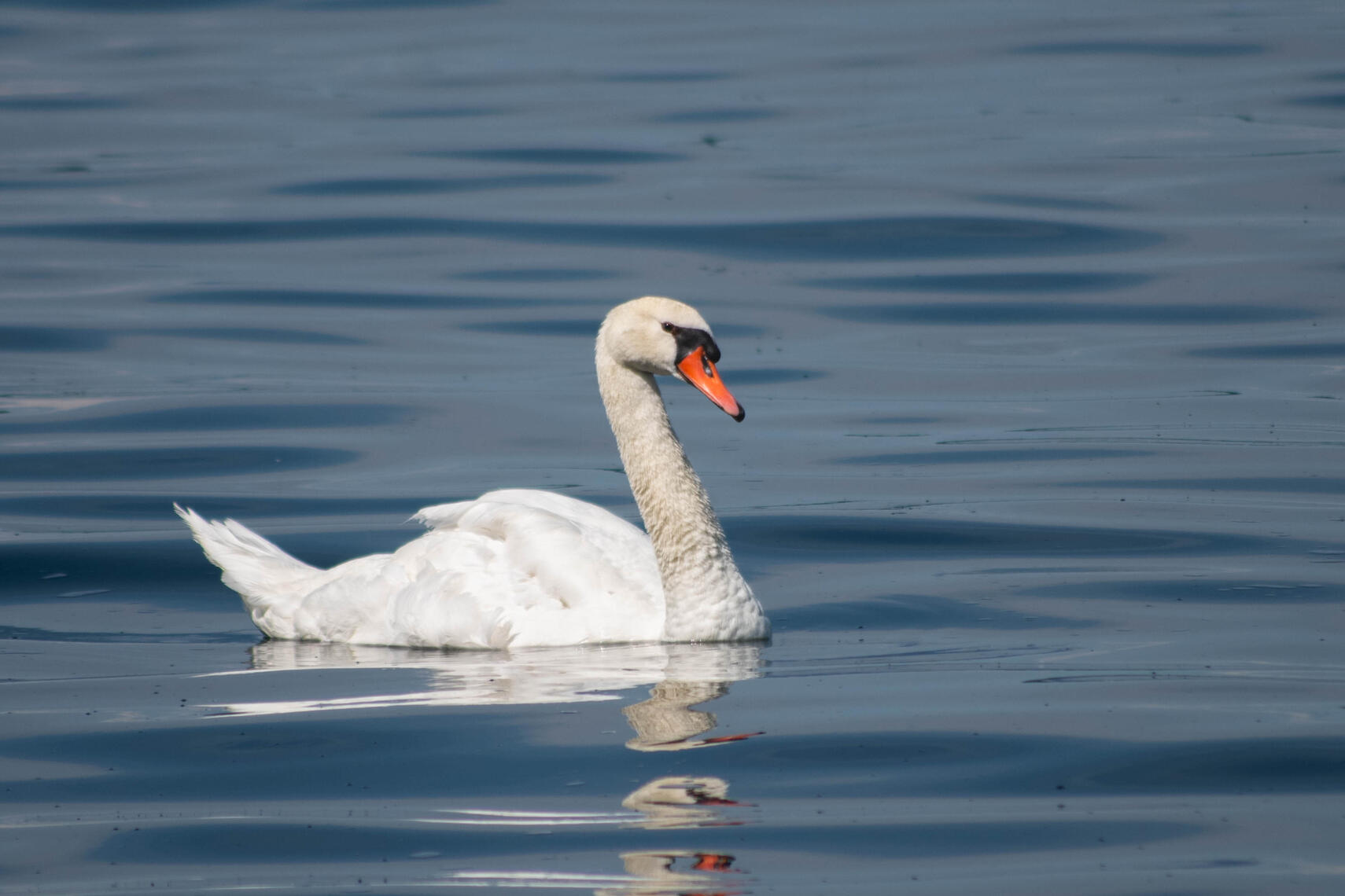 PayPal | CashApp | Venmo | © JDimages.