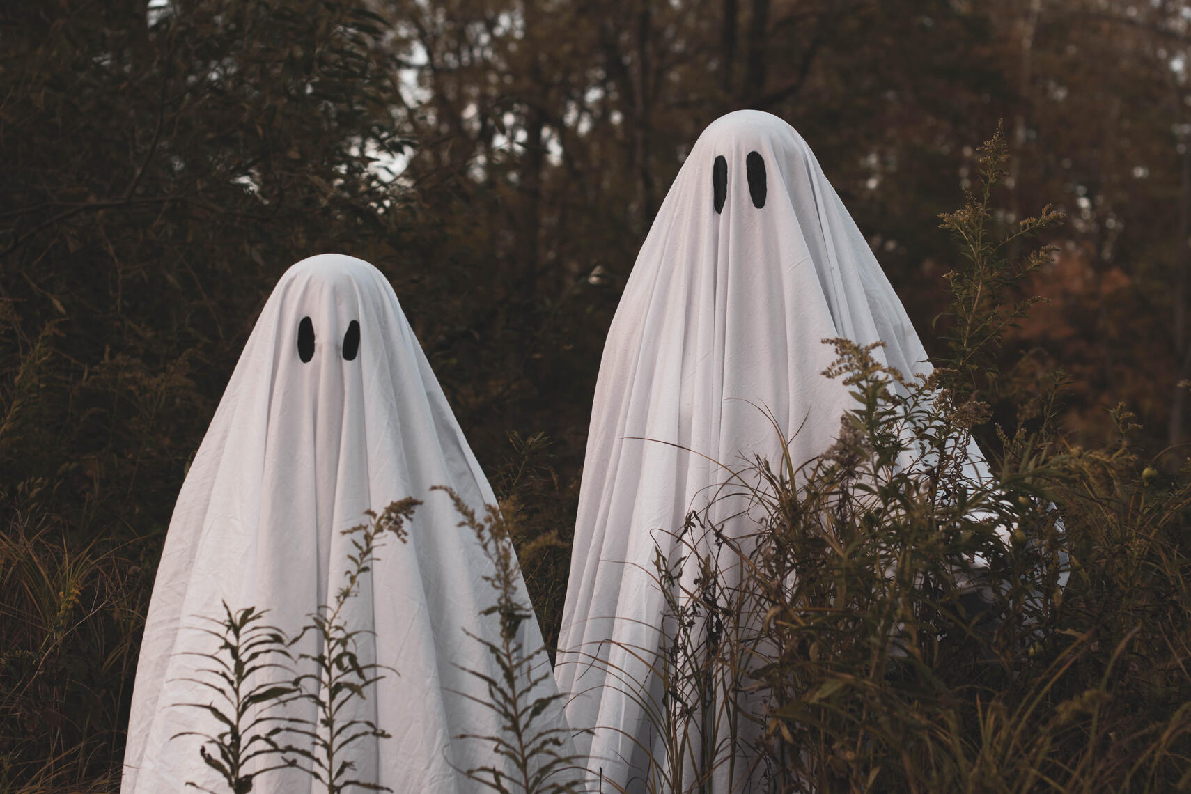 PayPal | CashApp | Venmo | © JDimages.