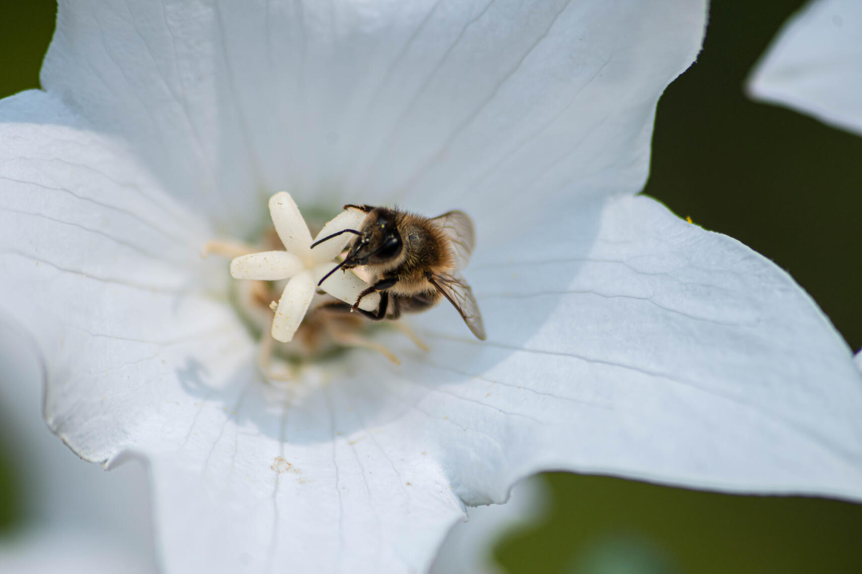 PayPal | CashApp | Venmo | © JDimages.