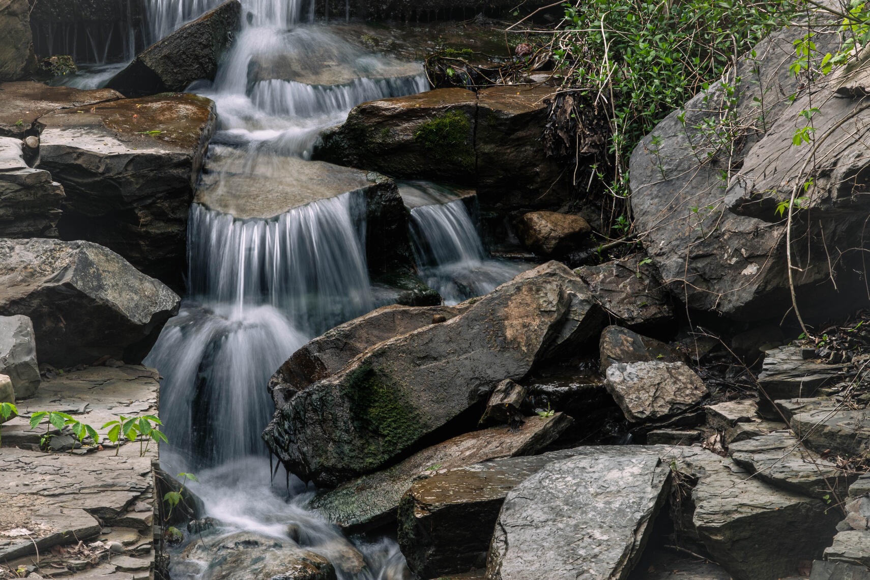 PayPal | CashApp | Venmo | © JDimages.