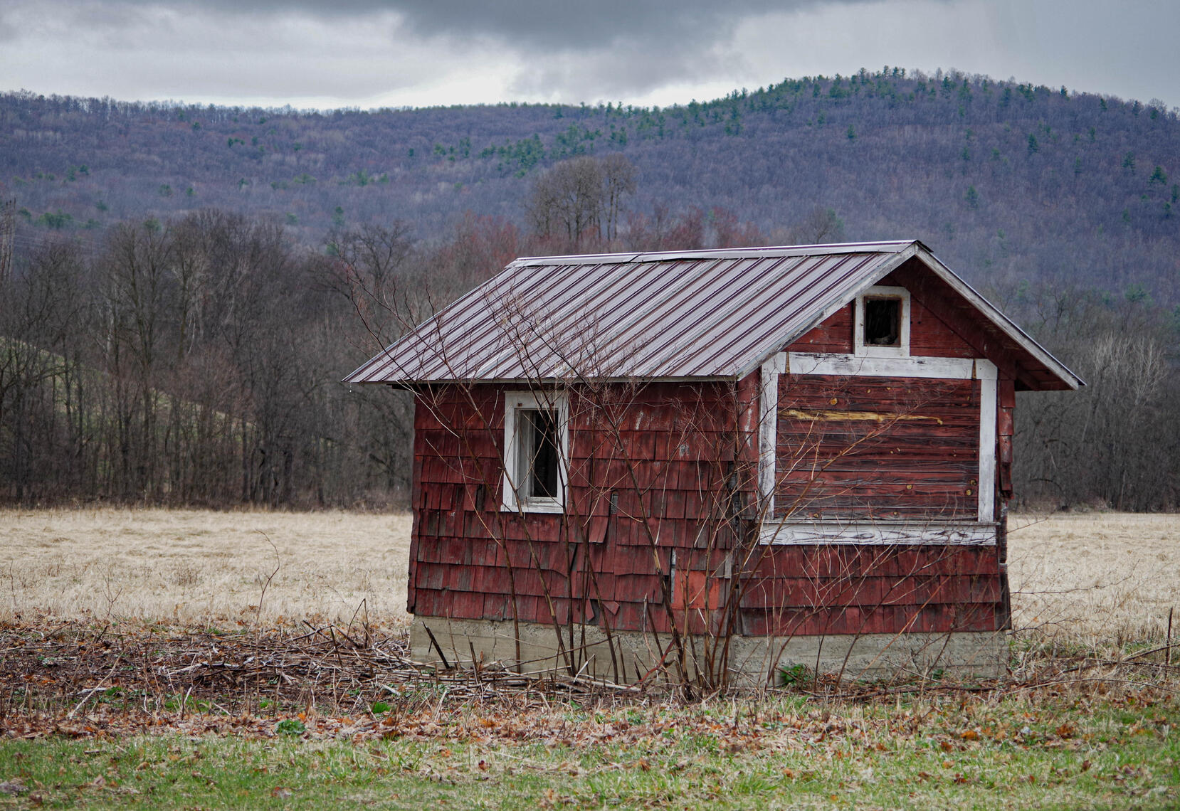 PayPal | CashApp | Venmo | © JDimages.