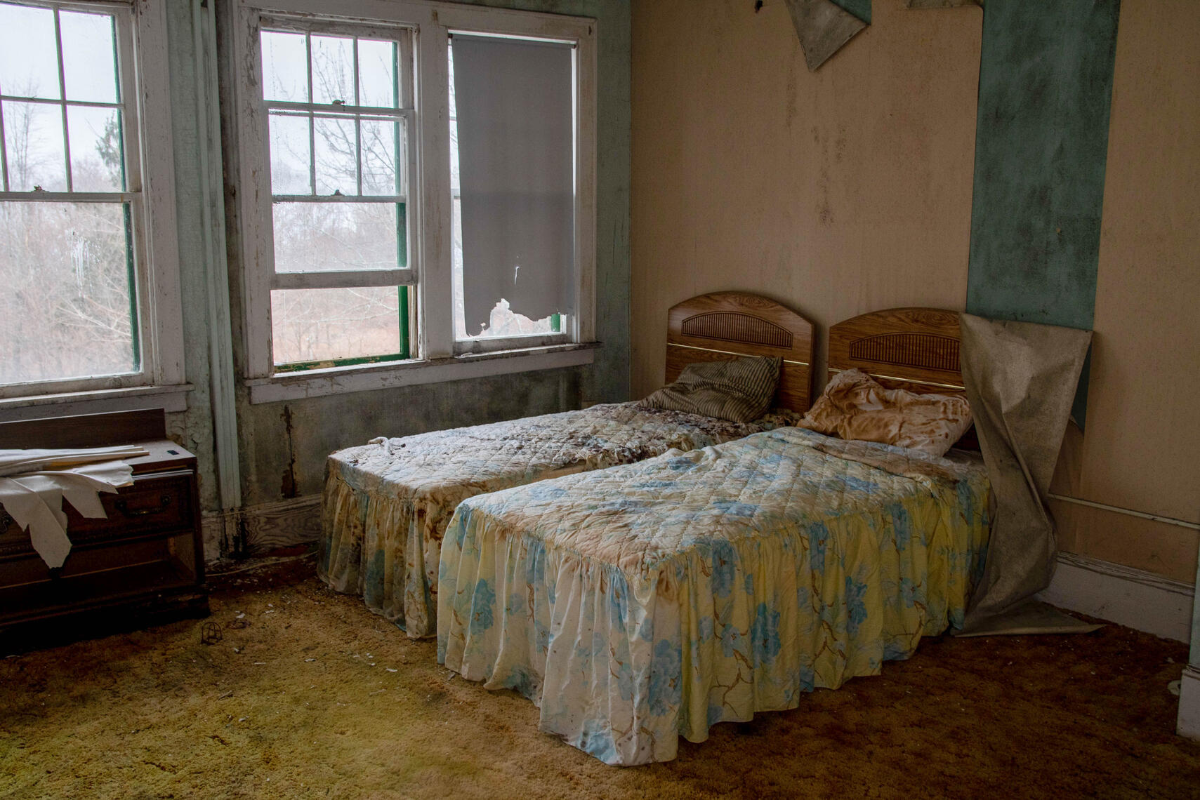 PayPal | CashApp | Venmo | © JDimages.