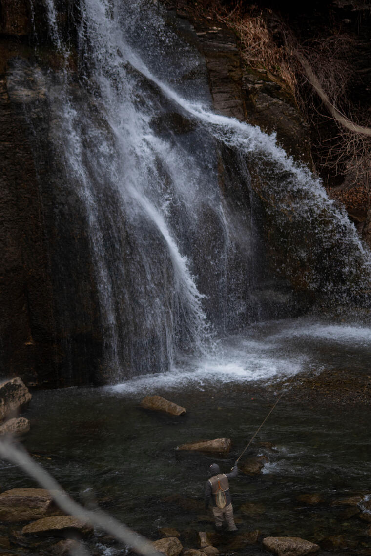 PayPal | CashApp | Venmo | © JDimages.