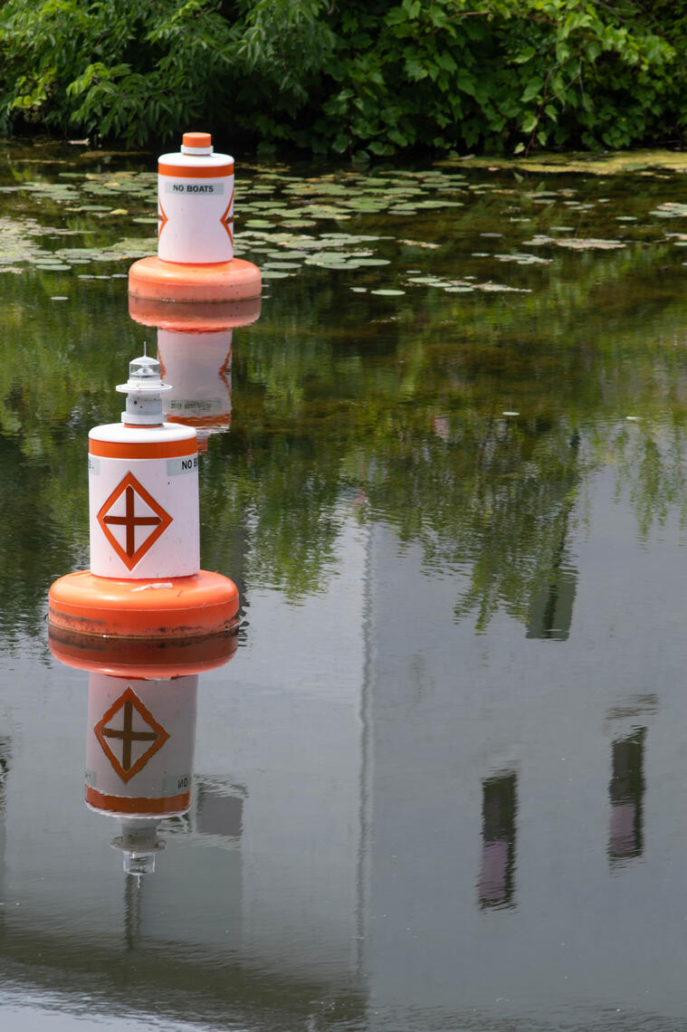 PayPal | CashApp | Venmo | © JDimages.