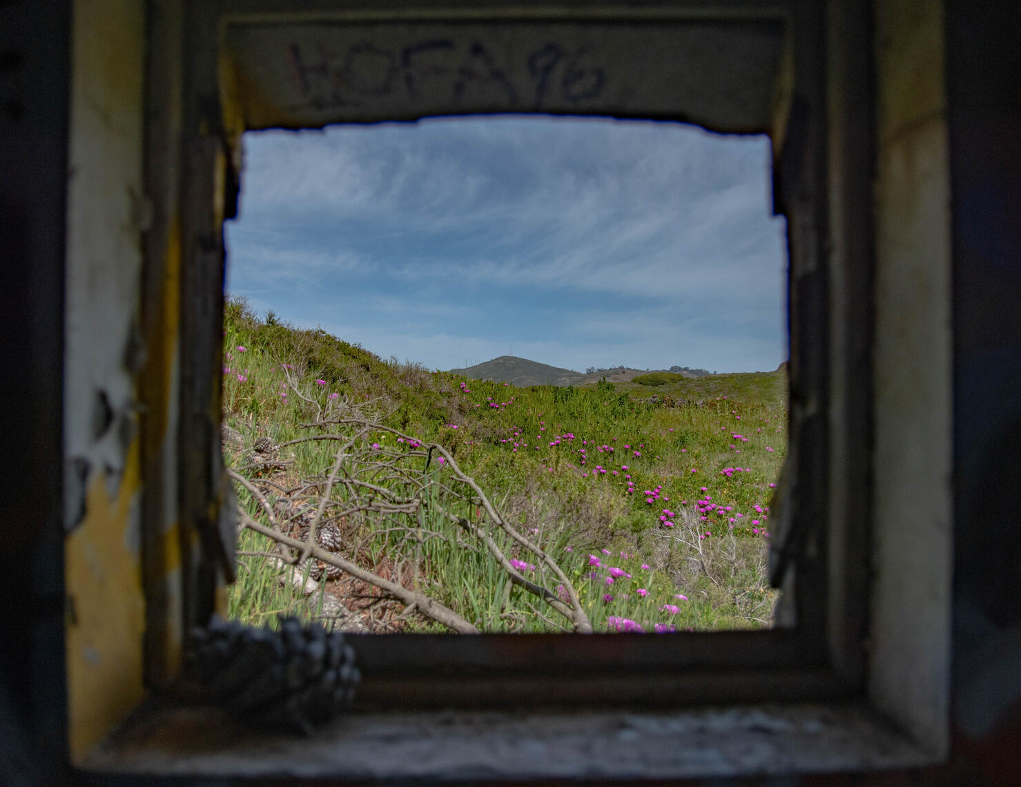 PayPal | CashApp | Venmo | © JDimages.