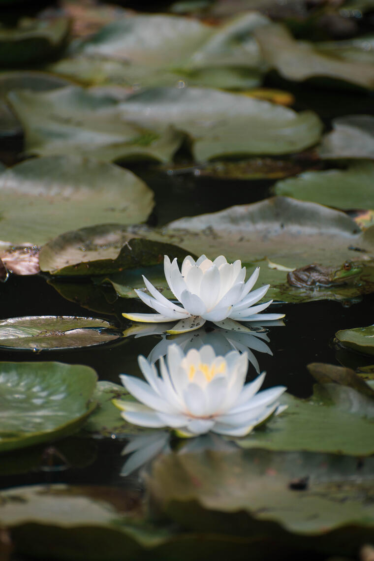 PayPal | CashApp | Venmo | © JDimages.