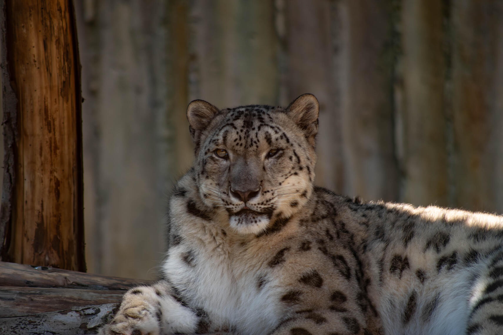 PayPal | CashApp | Venmo | © JDimages.