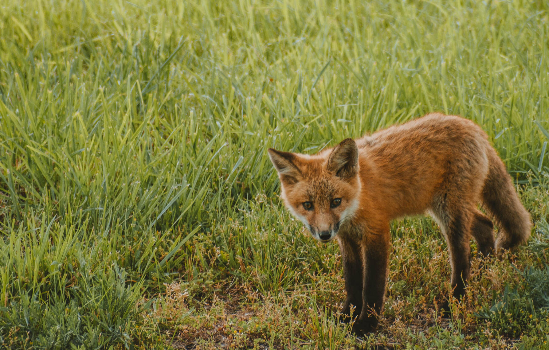 PayPal | CashApp | Venmo | © JDimages.