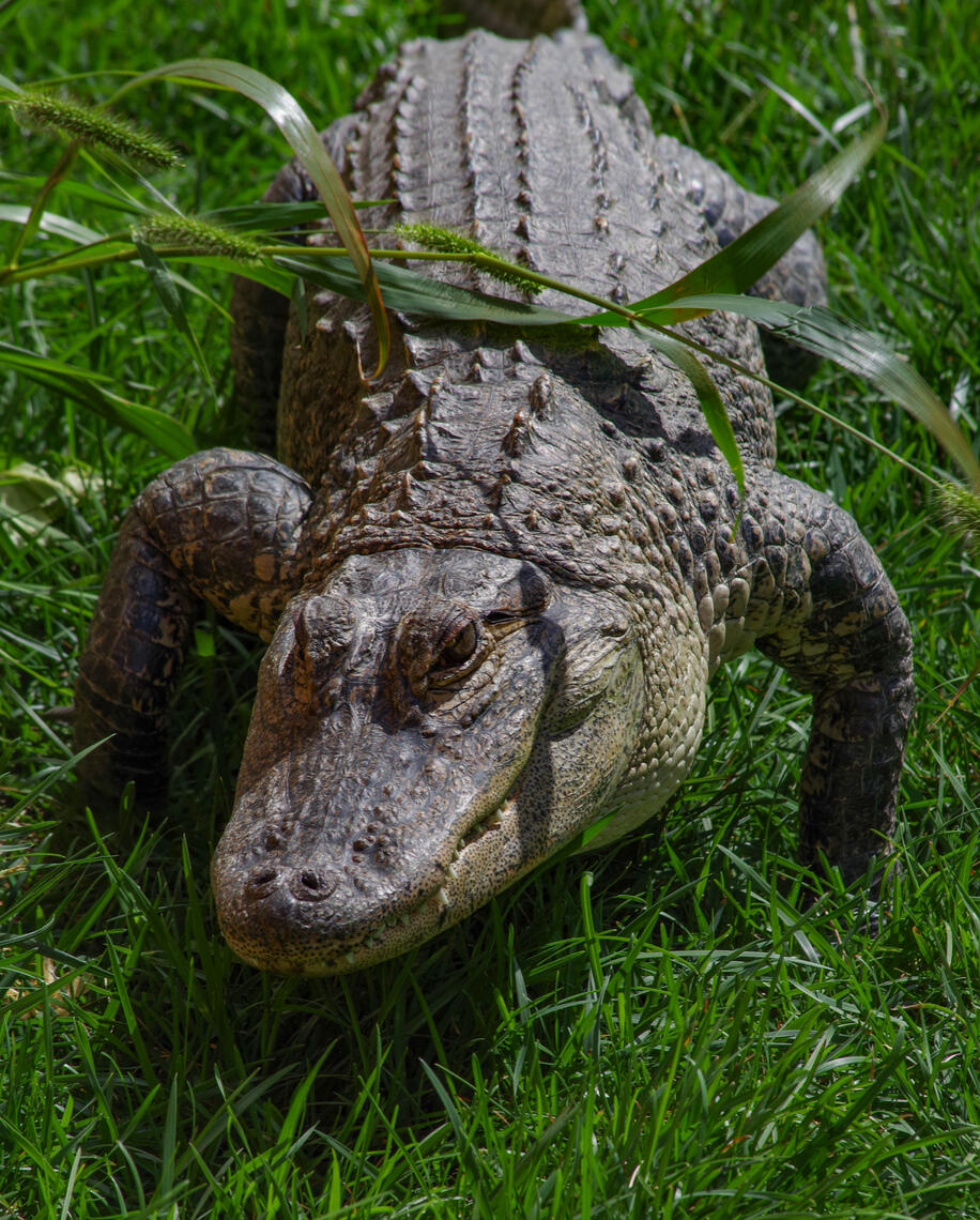 PayPal | CashApp | Venmo | © JDimages.