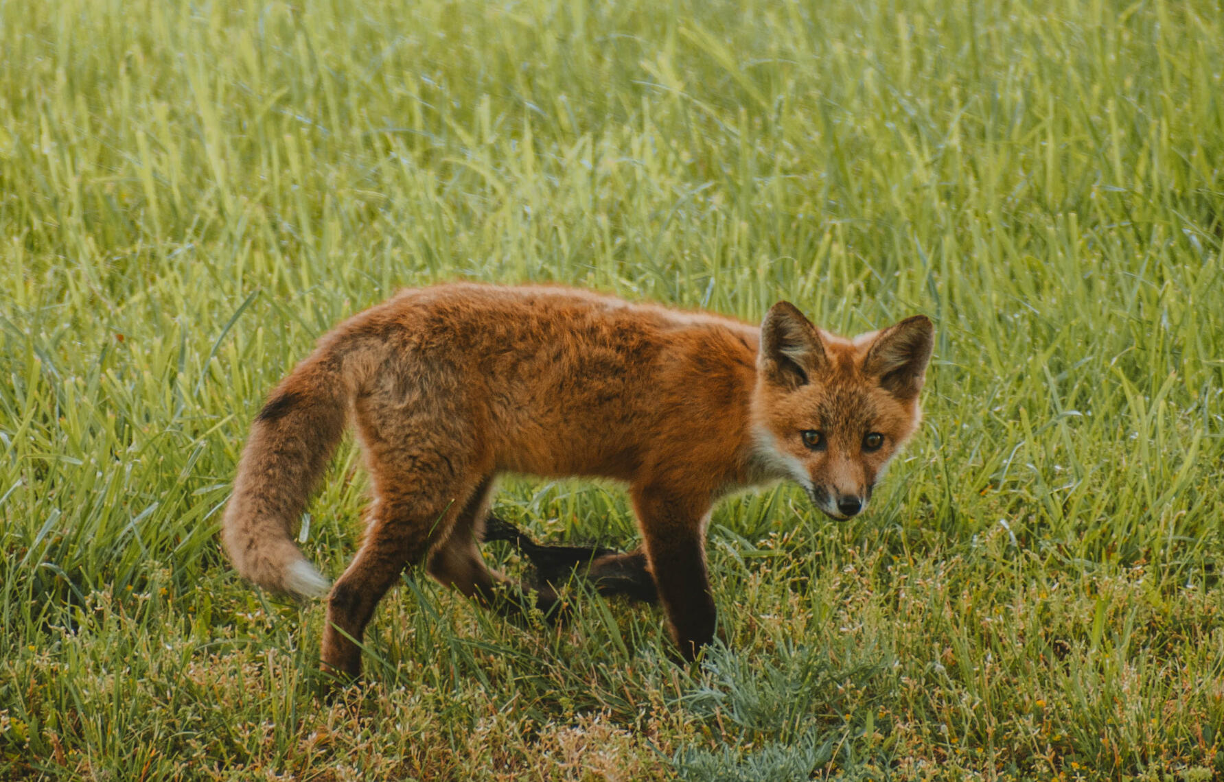 PayPal | CashApp | Venmo | © JDimages.